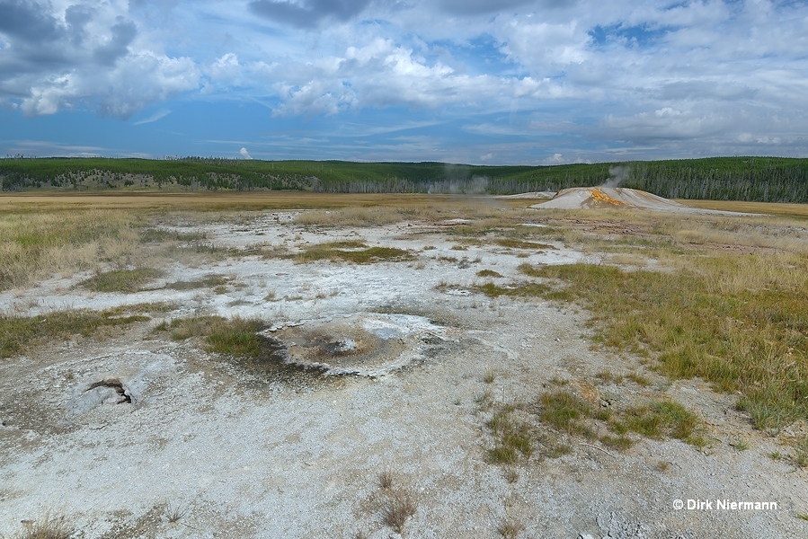 LSMGNN011 Yellowstone