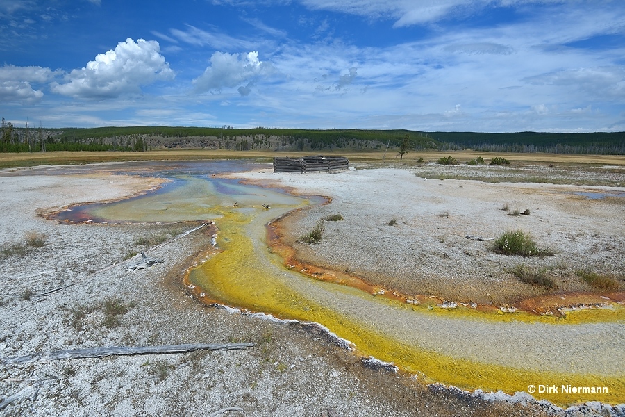 The Queen's Laundry Yellowstone