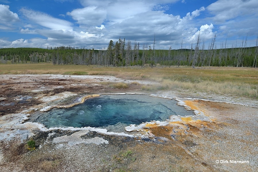 Rosette Geyser Yellowstone