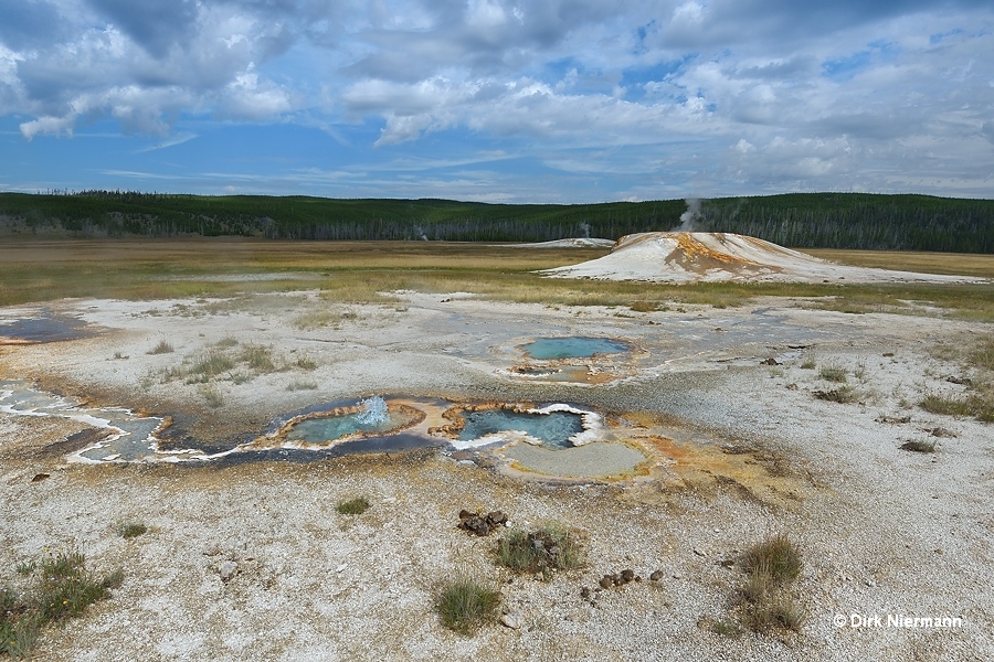 The Bulgers Yellowstone