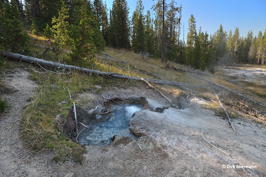 Halfway Spring Yellowstone