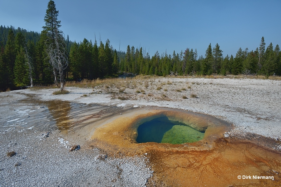 Lone Star Basin hot spring LSCGNN001 Yellowstone