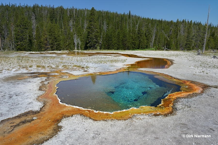 Lone Star Basin hot spring LSCGNN002 Yellowstone