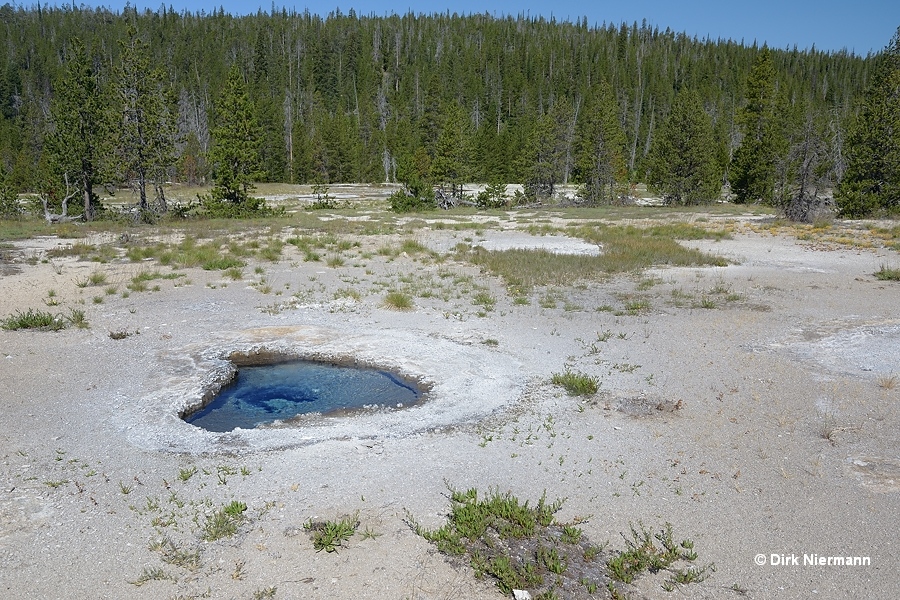 Lone Star Basin hot spring LSCGNN011 Yellowstone