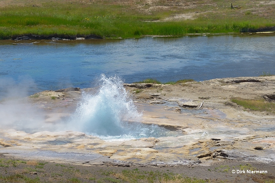 Flood Geyser Yellowstone