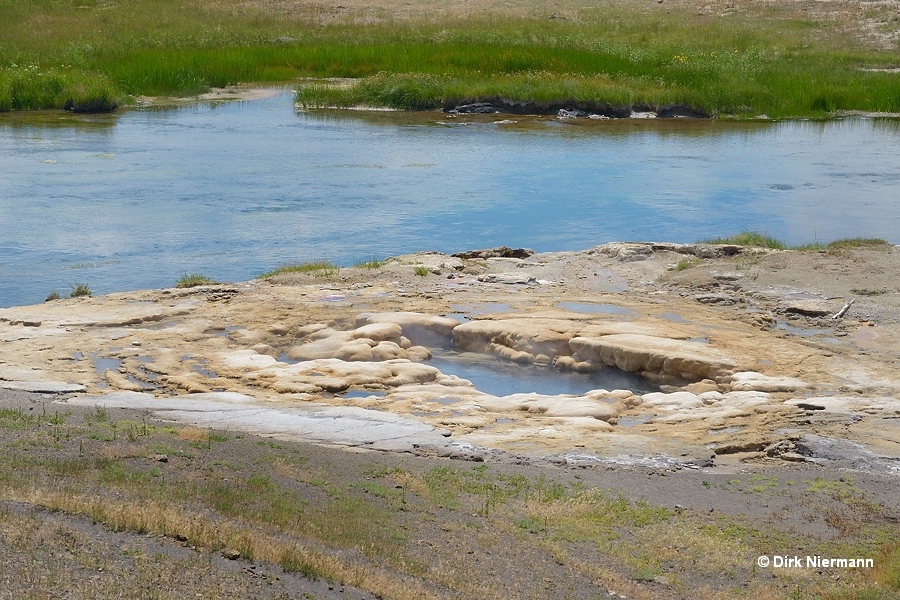 Flood Geyser Yellowstone