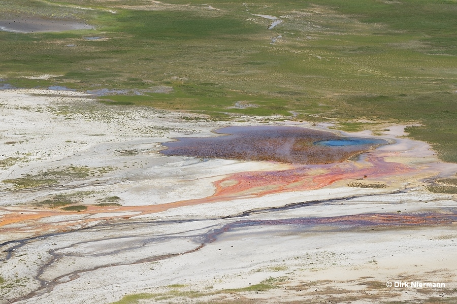 Iris Pool in Flood Group west of Firehole River Yellowstone