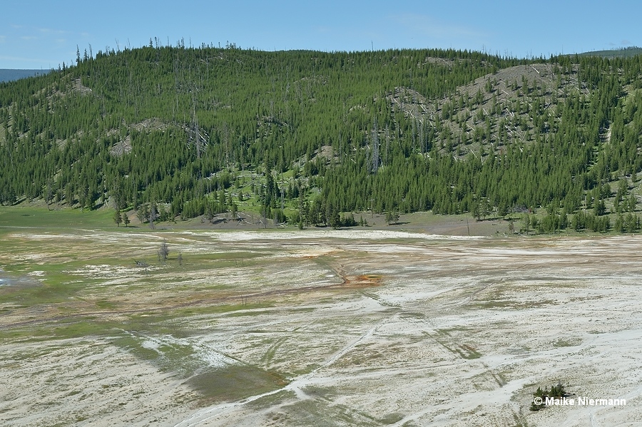 Tromp Spring Yellowstone