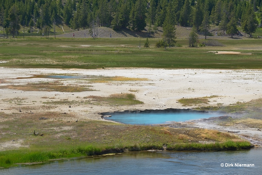 West Flood Geyser Yellowstone