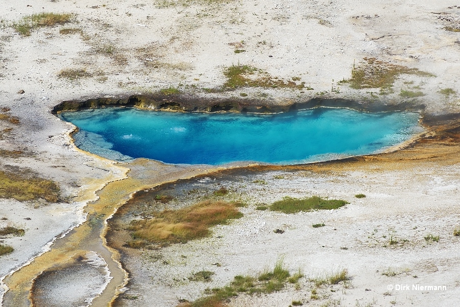 Indigo Spring Yellowstone