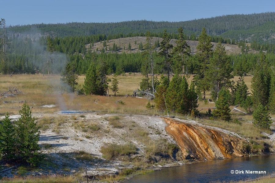 Green Star Spring Yellowstone