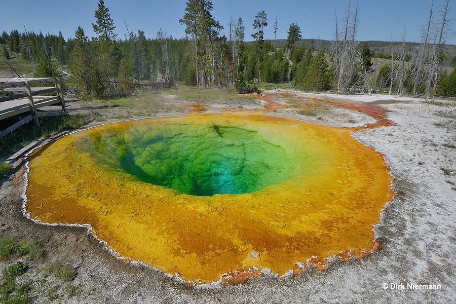 Morning Glory Pool Yellowstone