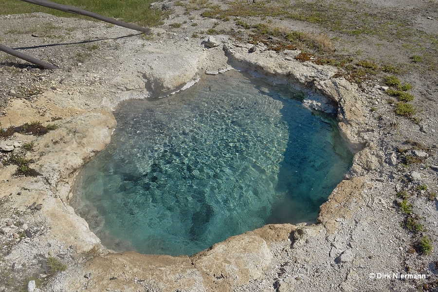Norris Pool Yellowstone