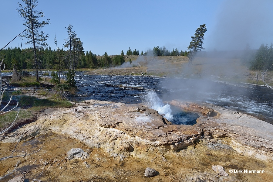 Sentinel Geyser Yellowstone