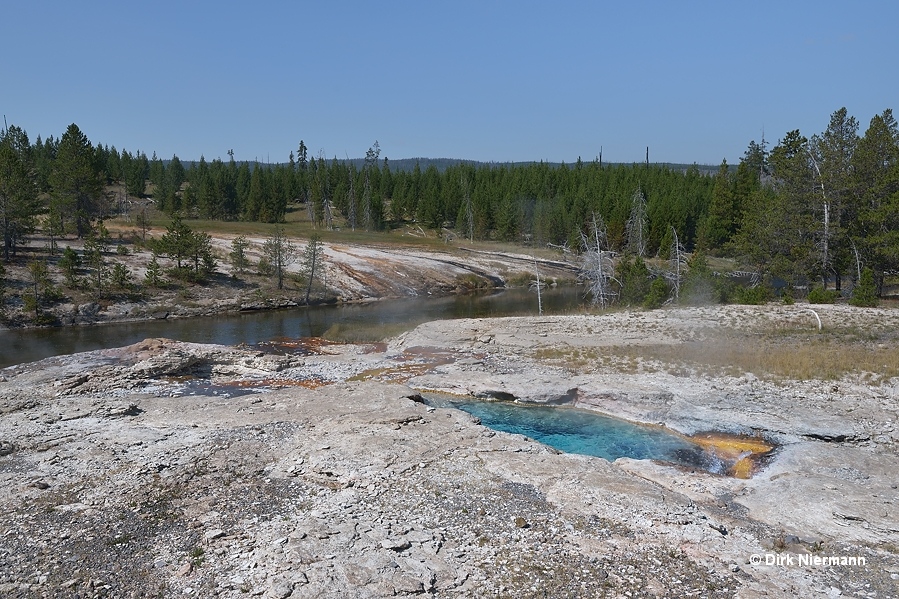 Spiteful Geyser Yellowstone