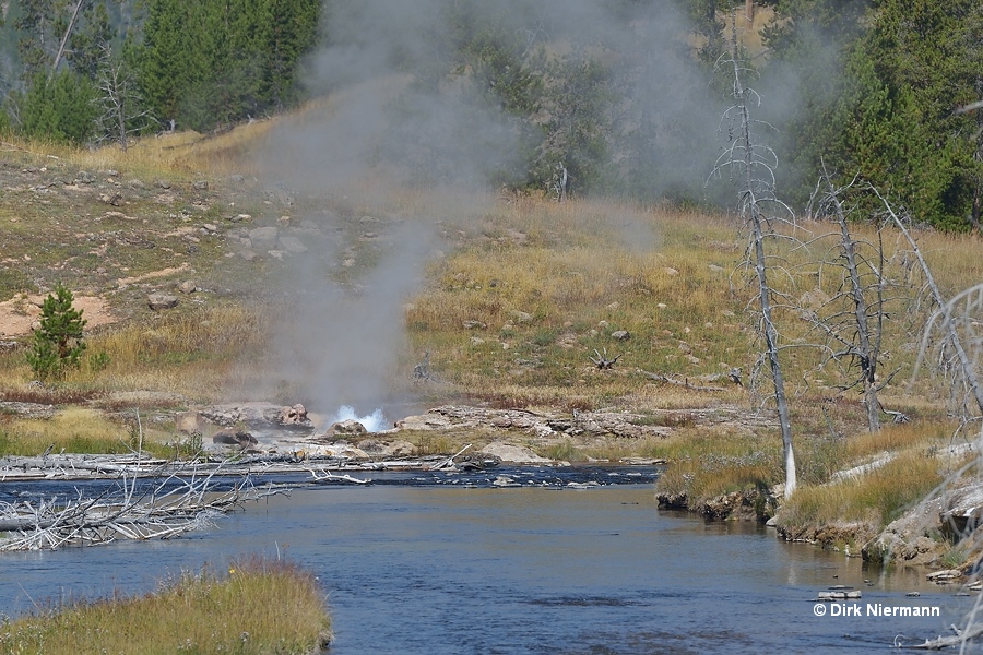 West Sentinel Geyser Yellowstone