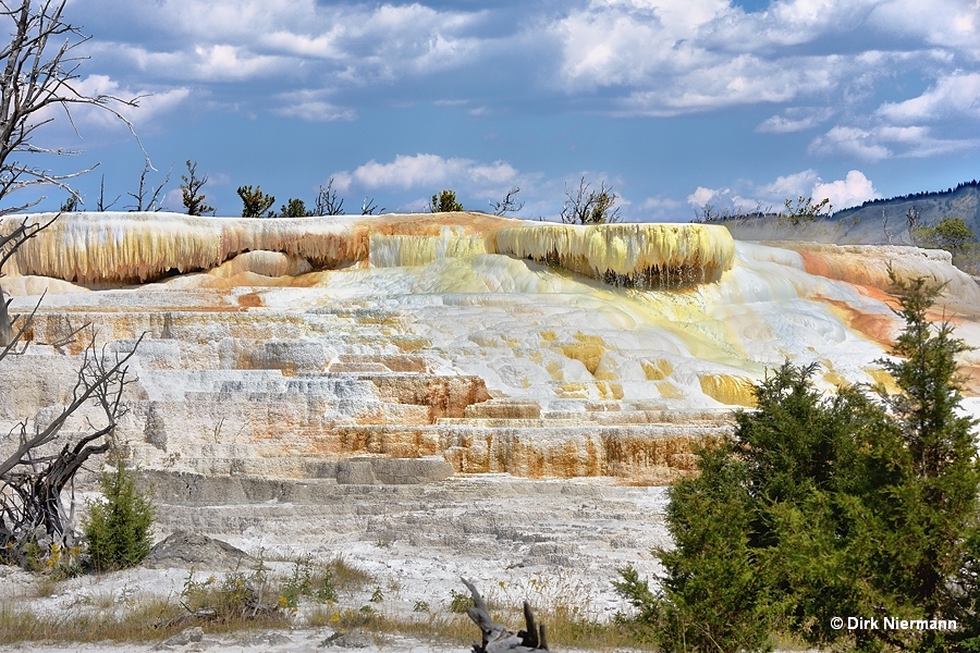 Aphrodite Spring and Aphrodite Terrace Yellowstone