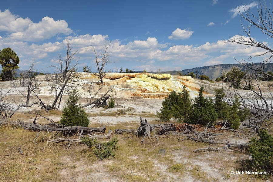 Aphrodite Terrace, Mammoth Hot Springs