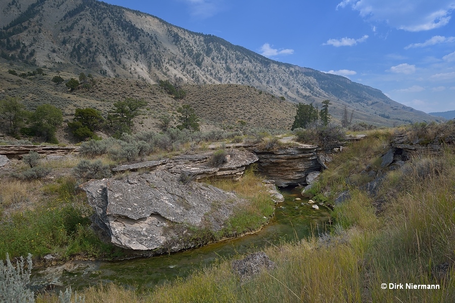 Boiling River Mammoth Hot Springs Yellowstone