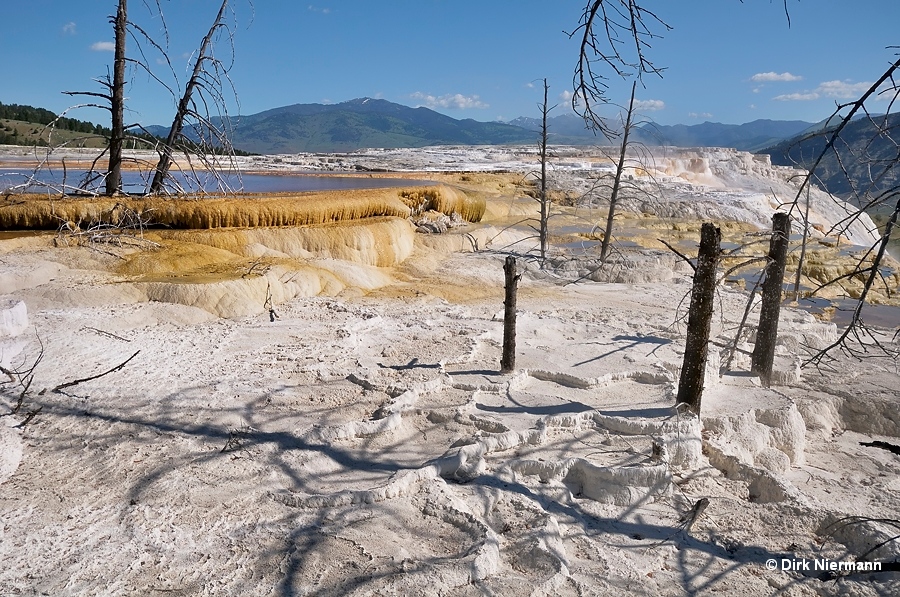 Canary Spring Mammoth Hot Springs Yellowstone