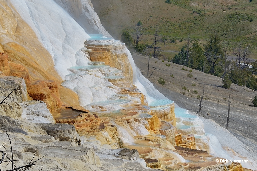 Canary Spring Mammoth Hot Springs Yellowstone