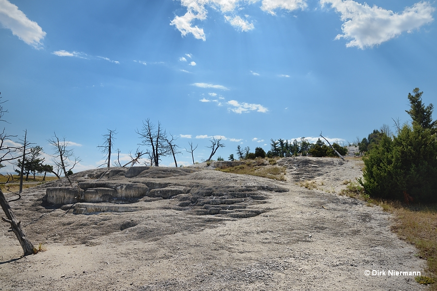 Cavern Terrace Mammoth Hot Springs Yellowstone