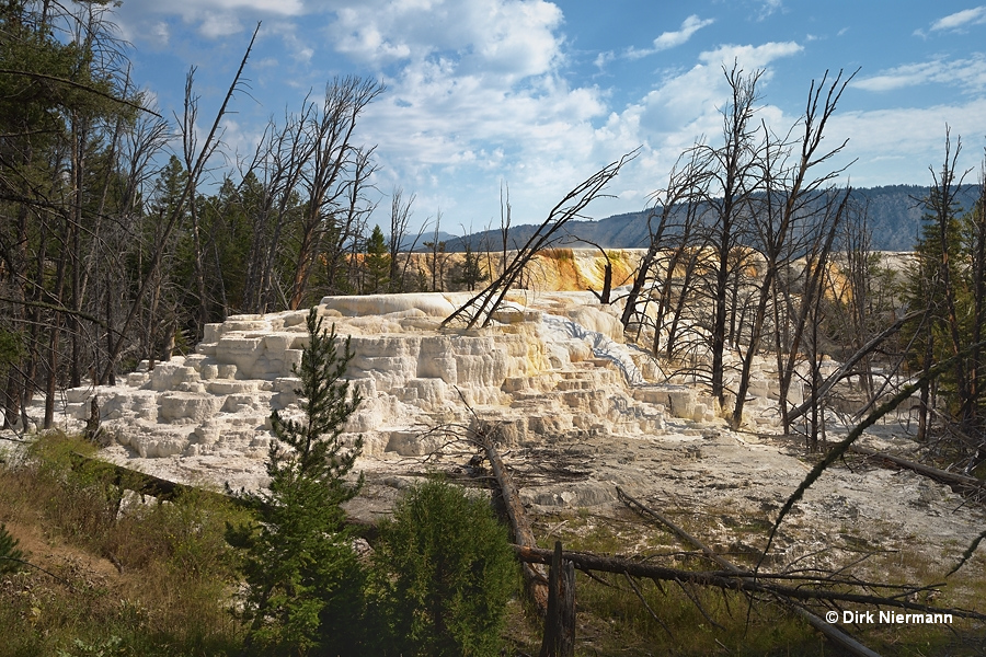 Cheops Mound Mammoth Hot Springs Yellowstone