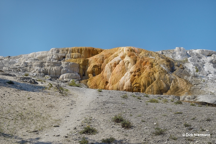 Cleopatra Terrace Mammoth Hot Springs Yellowstone