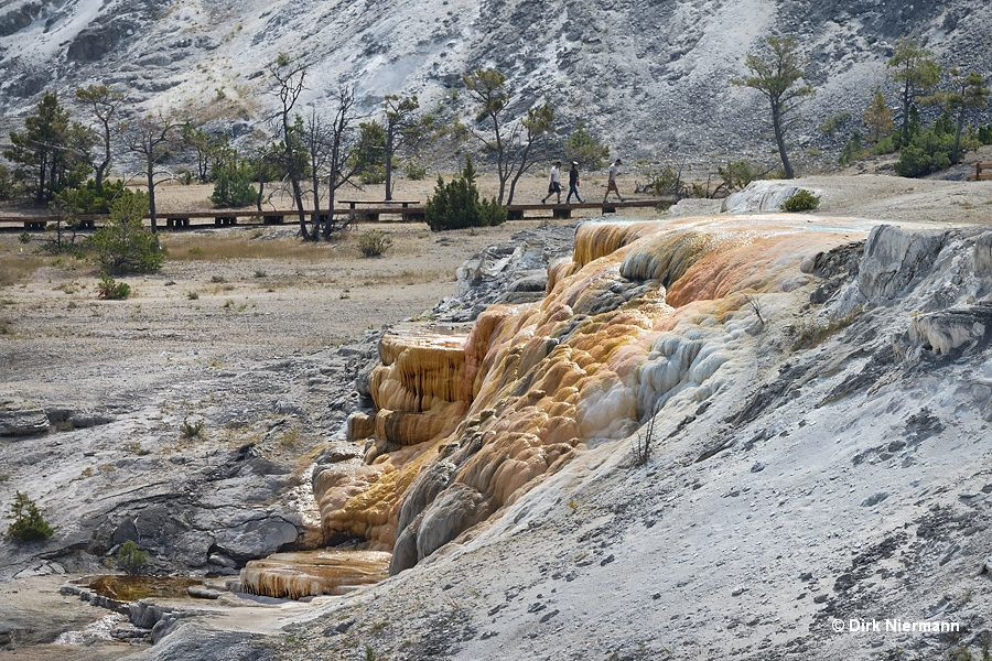 Cleopatra Terrace Mammoth Hot Springs Yellowstone