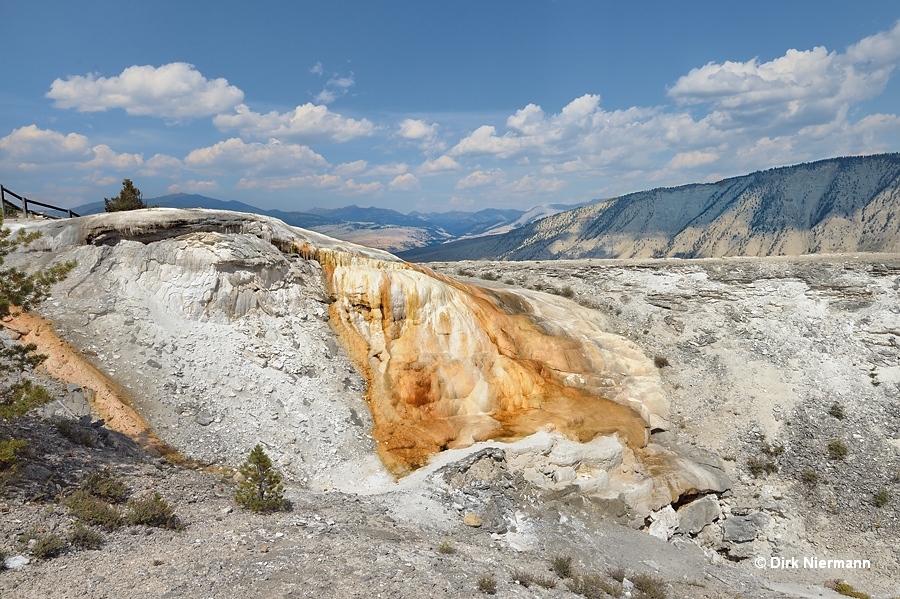 Cupid Spring, Mammoth Hot Springs