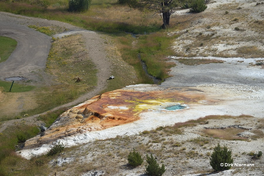 Hymen Spring Mammoth Hot Springs Yellowstone