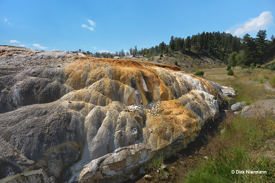 Hymen Terrace Mammoth Hot Springs Yellowstone