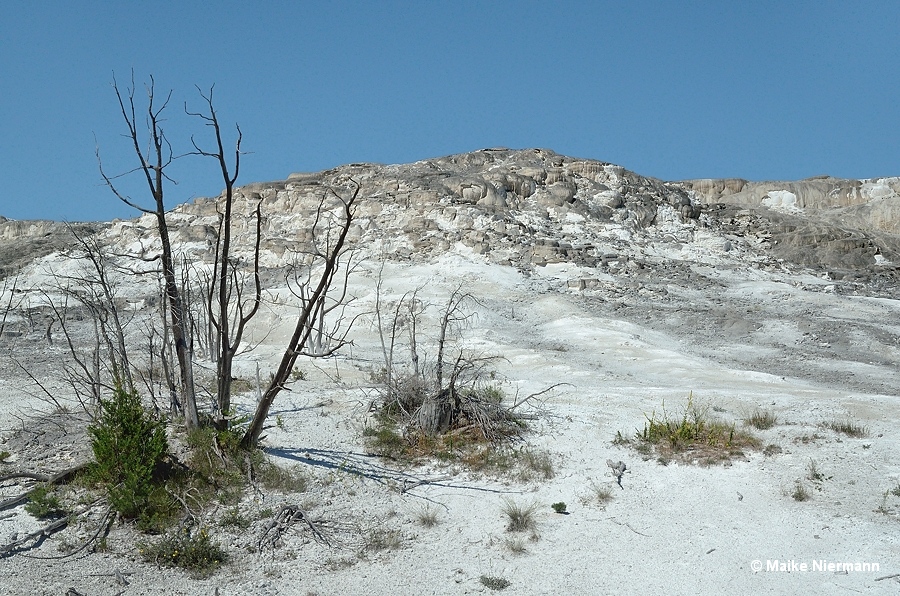 Jupiter Terrace, Mammoth Hot Springs Yellowstone