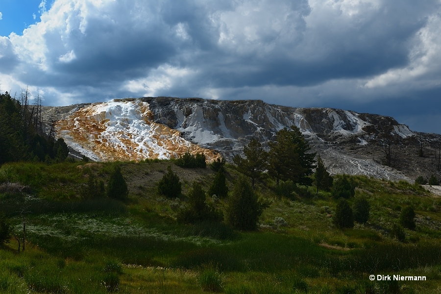 Main Terraces Area Mammoth Hot Springs Yellowstone