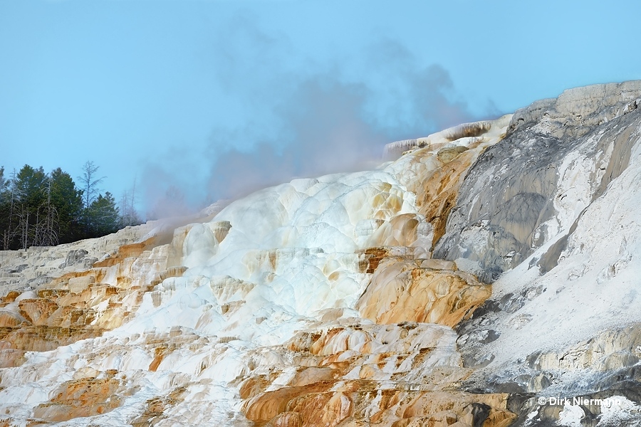 Marble Terrace Mammoth Hot Springs Yellowstone