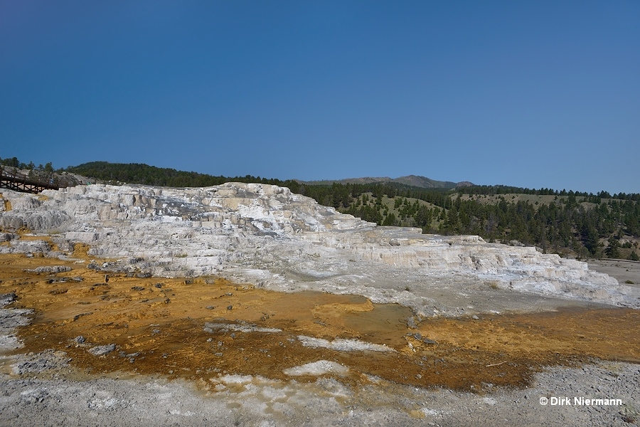 Minerva Terrace Mammoth Hot Springs Yellowstone