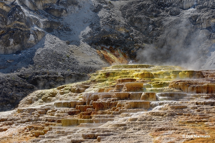 Mound Spring Mammoth Hot Springs Yellowstone