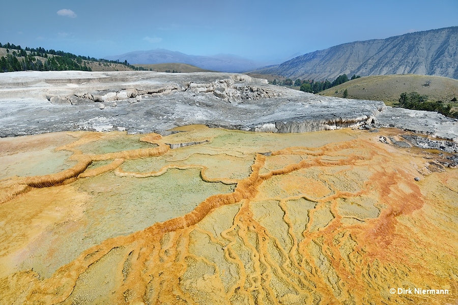 Mound Spring Mammoth Hot Springs Yellowstone