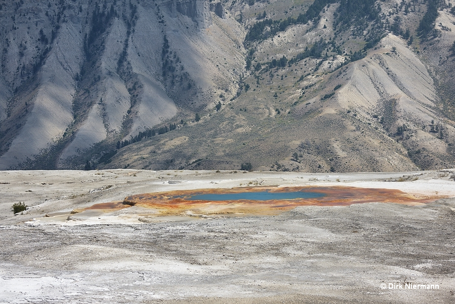 New Blue Spring Mammoth Hot Springs Yellowstone