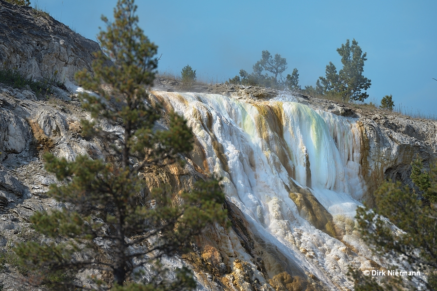 New Highland Spring, Mammoth Hot Springs Yellowstone