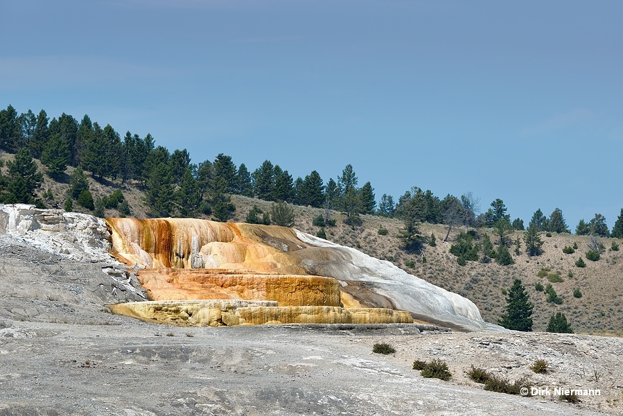 New Palette Spring Mammoth Hot Springs Yellowstone