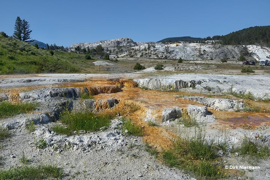 Opal Spring Mammoth Hot Springs Yellowstone