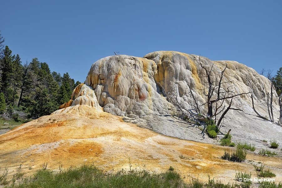 Orange Spring Mound Mammoth Hot Springs Yellowstone