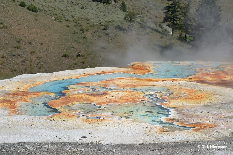 Palette Spring, Mammoth Hot Springs