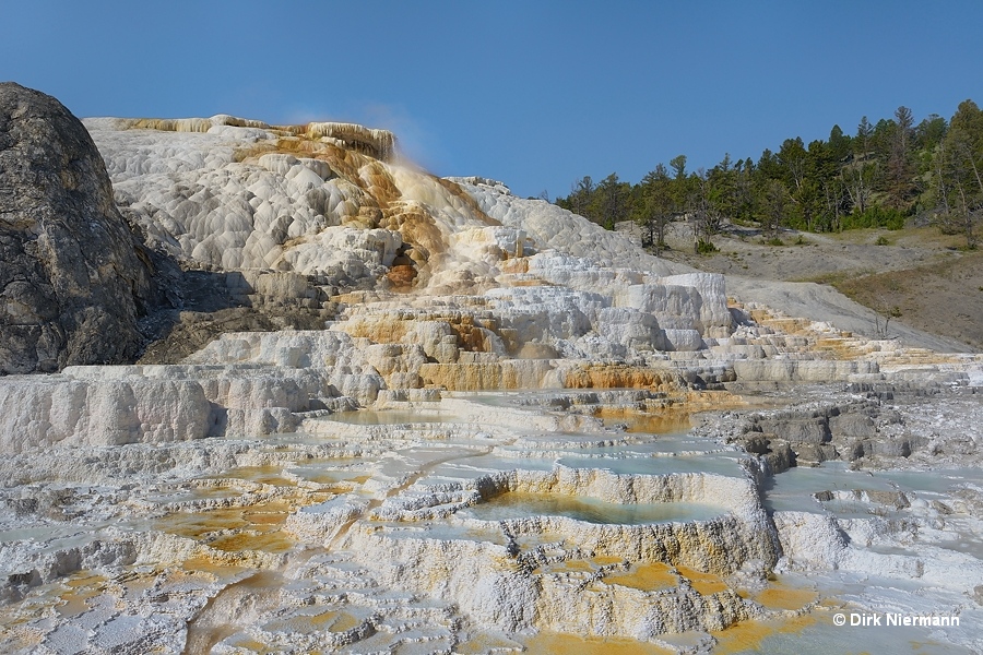 Palette Spring Mammoth Hot Springs Yellowstone