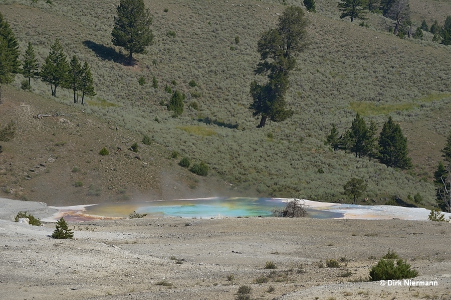 Palette Spring eastern pool Yellowstone