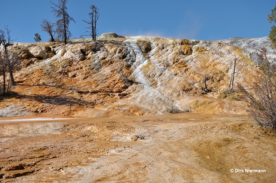 Palette Spring terracette deposit Yellowstone