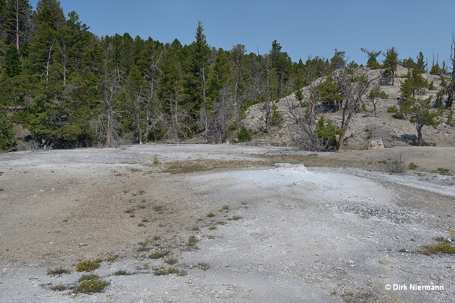 Prospect Terrace Mammoth Hot Springs Yellowstone