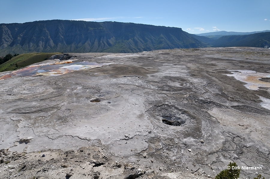 Summit Basin Spring Mammoth Hot Springs Yellowstone