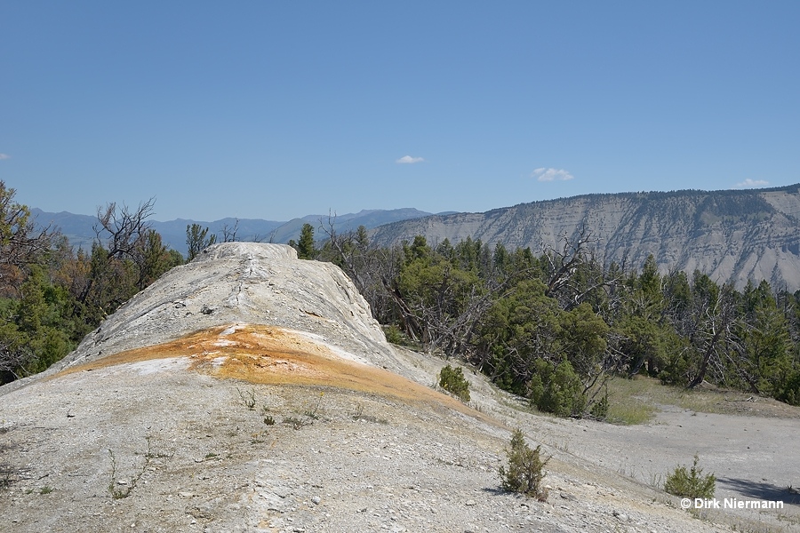 White Elephant Back Terrace Mammoth Hot Springs Yellowstone